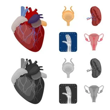 Isolated object of body and human logo. Collection of body and medical stock Stock Illustration