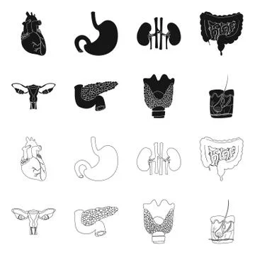 Isolated object of body and human icon. Set of body and medical stock vector Stock Illustration