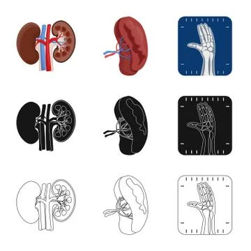Isolated object of body and human logo. Set of body and medical vector icon for Stock Illustration