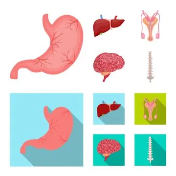 Isolated object of body and human logo. Set of body and medical stock vector Stock Illustration