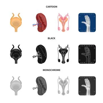 Isolated object of body and human icon. Collection of body and medical stock Stock Illustration