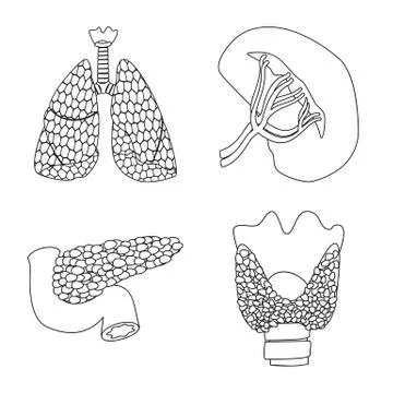 Isolated object of body and human sign. Collection of body and medical stock Stock Illustration