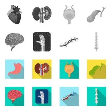 Isolated object of body and human icon. Collection of body and medical vector Stock Illustration