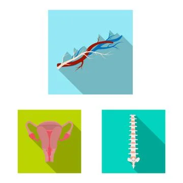 Isolated object of body and human sign. Set of body and medical stock vector Stock Illustration