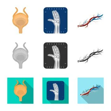 Isolated object of body and human sign. Set of body and medical stock symbol for Stock Illustration
