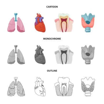 Isolated object of body and human sign. Set of body and medical vector icon for Stock Illustration