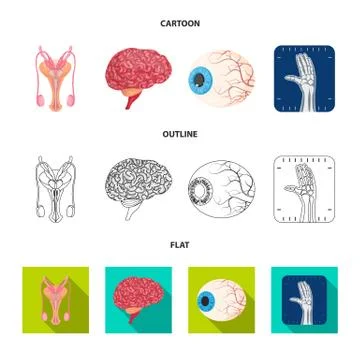 Isolated object of body and human symbol. Collection of body and medical stock Stock Illustration