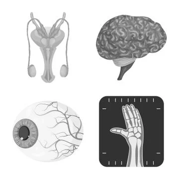 Isolated object of body and human icon. Set of body and medical stock vector Stock Illustration