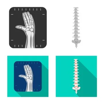 Isolated object of body and human sign. Collection of body and medical stock Stock Illustration