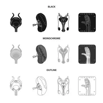 Isolated object of body and human symbol. Collection of body and medical stock Stock Illustration