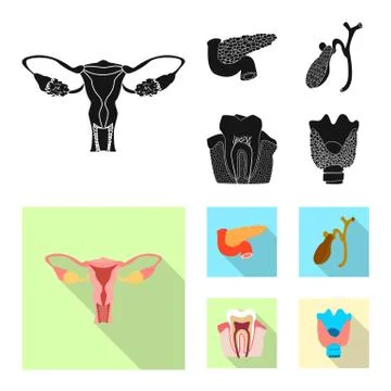 Isolated object of body and human symbol. Collection of body and medical stock Stock Illustration