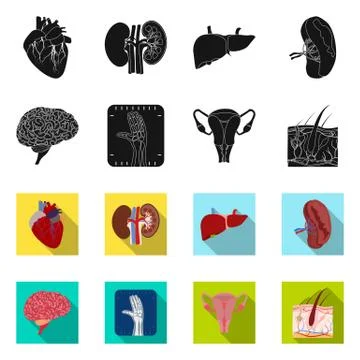 Isolated object of body and human logo. Collection of body and medical vector Stock Illustration