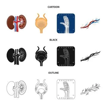 Isolated object of body and human sign. Set of body and medical vector icon for Stock Illustration
