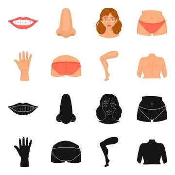 Isolated object of body and part icon. Collection of body and anatomy vector Stock Illustration