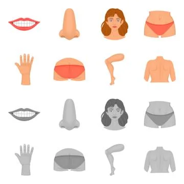 Isolated object of body and part symbol. Collection of body and anatomy vector Stock-Illustration