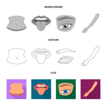 Isolated object of body and part symbol. Set of body and anatomy vector icon for Stock-Illustration