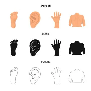 Isolated object of body and part sign. Set of body and anatomy stock symbol for Stock-Illustration