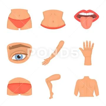 Isolated object of body and part symbol. Set of body and anatomy vector ...