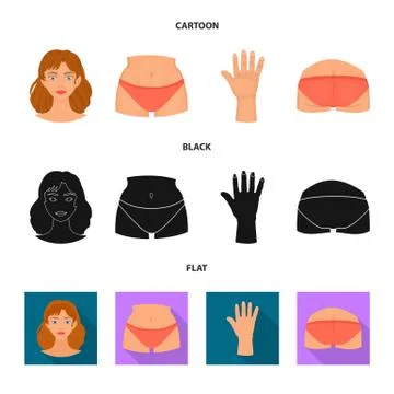 Isolated object of body and part symbol. Set of body and anatomy stock vector Stock-Illustration