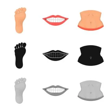 Isolated object of body and part logo. Set of body and anatomy stock symbol for Stock Illustration