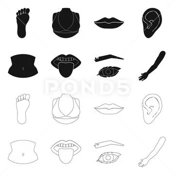 Isolated object of body and part symbol. Set of body and anatomy vector ...
