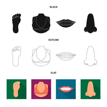 Isolated object of body and part sign. Set of body and anatomy stock vector Stock Illustration