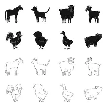 Isolated object of breeding and kitchen icon. Set of breeding and organic vector Illustrazione stock