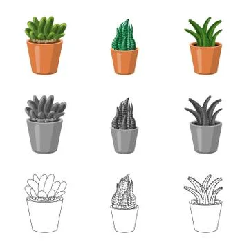 Isolated object of cactus and pot symbol. Set of cactus and cacti stock symbol Stock Illustration