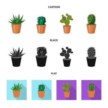 Isolated object of cactus and pot sign. Set of cactus and cacti stock symbol for Stock Illustration