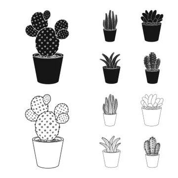 Isolated object of cactus and pot logo. Set of cactus and cacti stock symbol for Stock Illustration