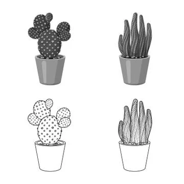 Isolated object of cactus and pot symbol. Set of cactus and cacti stock vector Stock Illustration