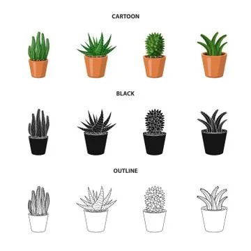 Isolated object of cactus and pot symbol. Set of cactus and cacti vector icon Stock Illustration