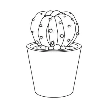 Isolated object of cactus and pot logo. Collection of cactus and cacti stock Stock Illustration