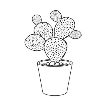 Isolated object of cactus and pot logo. Set of cactus and cacti vector icon for Stock Illustration