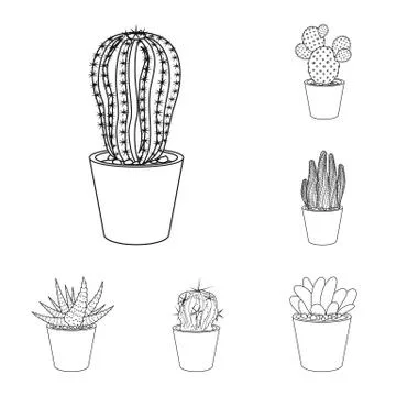 Isolated object of cactus and pot symbol. Collection of cactus and cacti stock Stock Illustration