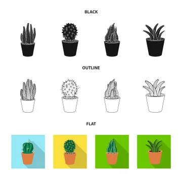 Isolated object of cactus and pot sign. Collection of cactus and cacti stock Stock Illustration