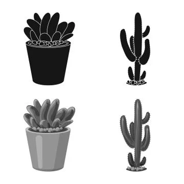 Isolated object of cactus and pot symbol. Collection of cactus and cacti stock Stock Illustration