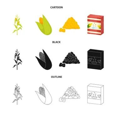 Isolated object of cornfield and vegetable symbol. Set of cornfield and Stock Illustration