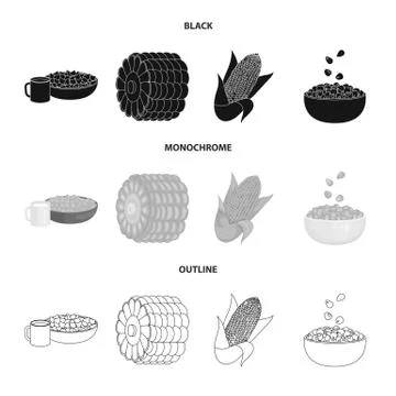 Isolated object of cornfield and vegetable icon. Collection of cornfield and Stock Illustration