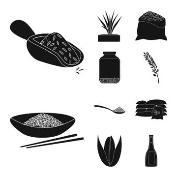 Isolated object of diet and cooking symbol. Collection of diet and organic stock 스톡 일러스트