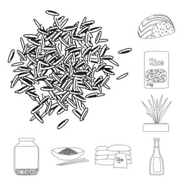 Isolated object of diet and cooking icon. Set of diet and organic stock vector Stock Illustration