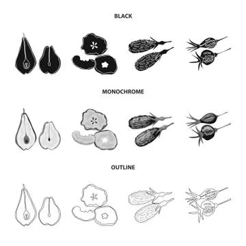 Isolated object of food and raw symbol. Collection of food and nature stock Stock Illustration
