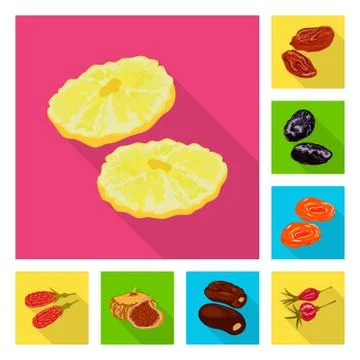 Isolated object of fruit and dried icon. Collection of fruit and food stock Stock Illustration