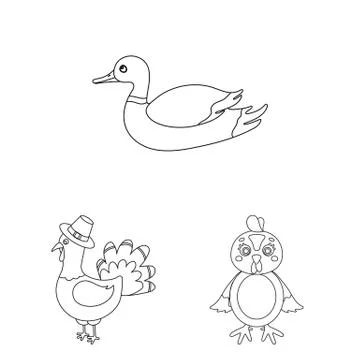 Isolated object of funny and poultry logo. Collection of funny and farming stock Illustrazione stock
