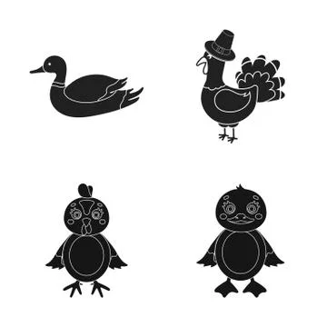 Isolated object of funny and poultry icon. Set of funny and farming vector icon Illustrazione stock