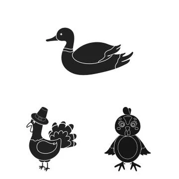 Isolated object of funny and poultry icon. Set of funny and farming stock symbol Illustrazione stock