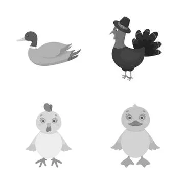 Isolated object of funny and poultry sign. Collection of funny and farming stock Illustrazione stock