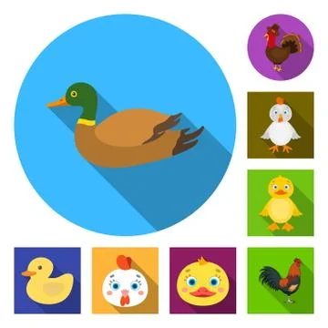 Isolated object of funny and poultry symbol. Collection of funny and farming Illustrazione stock