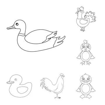 Isolated object of funny and poultry sign. Collection of funny and farming stock Illustrazione stock