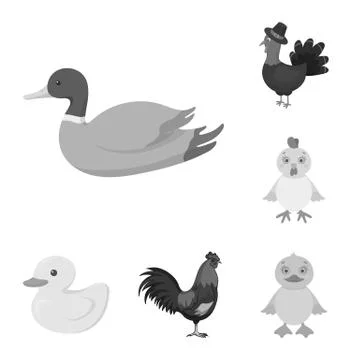 Isolated object of funny and poultry symbol. Set of funny and farming stock Illustrazione stock